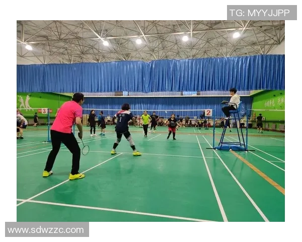 西安羽毛球队的训练与竞技状态全景揭秘羽毛球巨献之旅