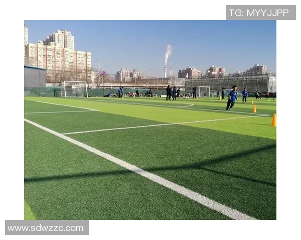 足球日子o：在绿茵场上追逐梦想与激情的青春岁月